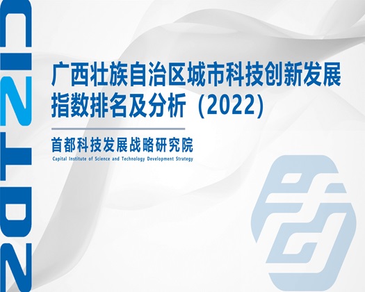 艹b日b【成果发布】广西壮族自治区城市科技创新发展指数排名及分析（2022）